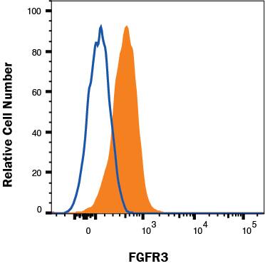 HepG2 cells were stained with Mouse Anti-Human FGFR3 Alexa Fluor® 647‑conjugated Monoclonal Antibody (Catalog # FAB766R, filled histogram) or isotype control antibody (Catalog # IC002R, open histogram). View our protocol for Staining Membrane-associated Proteins. 