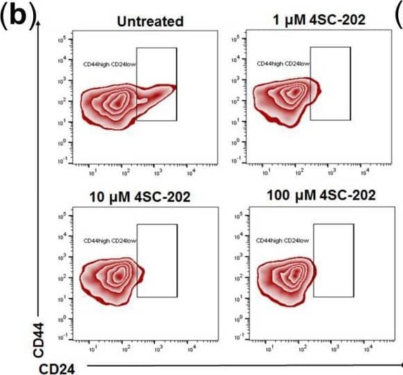 4SC-202 reduces ALDHhigh and CD44high/CD24low cell populations. (a) 4T1 cells were treated with 4SC-202 at the indicated concentrations in the 3D scaffolds and analyzed by flow cytometry for a CD44high/CD24low cancer stem cell (CSC) profile. (b) Contour plot representing gating strategy, and (c) quantification of CD44high/CD24low CSC population normalized to beads. Significance is tested using ANOVA followed by a Dunnett’s test for n = 3 scaffold experiments (p < 0.001 ***). (d) Histogram plot revealing loss of CD24 expression with increased treatment. Image collected and cropped by CiteAb from the following open publication (//pubmed.ncbi.nlm.nih.gov/35406526), licensed under a CC-BY license. Not internally tested by R&D Systems.