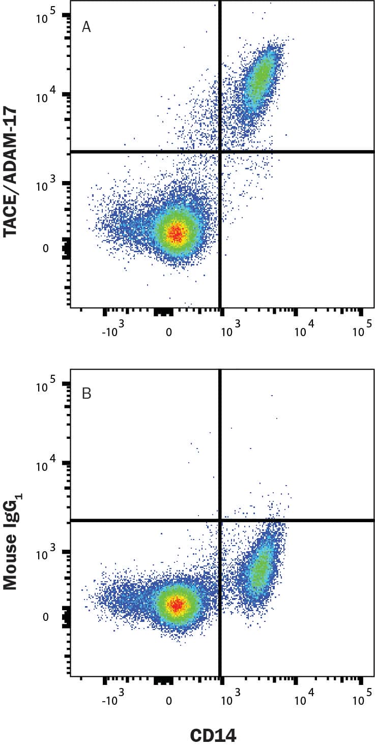 Human PBMC were stained with (A) Mouse Anti-Human TACE/ADAM17 Ectodomain PE-conjugated Monoclonal Antibody (Catalog # FAB9301P) or (B) Mouse IgG1 isotype control antibody (IC002P) and Mouse anti-Human CD14 APC-conjugated Monoclonal Antibody (FAB3832A). View our protocol for Staining Membrane-associated Proteins. 
