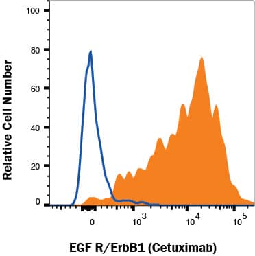 A431 cells were stained with Human Anti-Human EGFR (Research Grade Cetuximab Biosimilar) Monoclonal Antibody (MAB9577, filled histogram) or isotype control antibody (1-001-A, open histogram), followed by Rabbit Anti-Cetuximab (Anti-Idiotype) Alexa Fluor 647 monoclonal antibody (Catalog # FAB9626R). View our protocol for Staining Membrane-associated Proteins. 