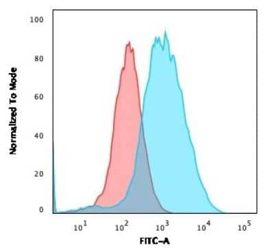 Flow Cytometry: gamma Catenin Antibody (rCTNG/1664) - Azide and BSA Free [NBP3-08469] - Flow Cytometric Analysis of PFA-fixed MCF-7 cells using gamma Catenin Mouse Monoclonal Antibody (rCTNG/1664) followed by goat anti- Mouse IgG-CF488 (Blue); Isotype Control (Red).