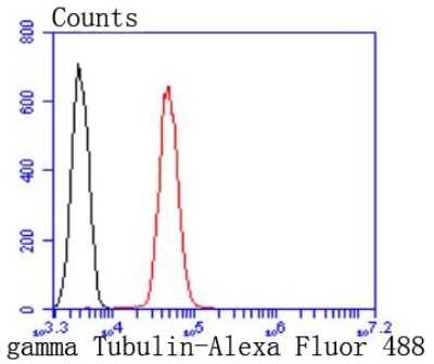 Flow Cytometry: gamma Tubulin Antibody (JF0972) [NBP2-66860] - Flow cytometric analysis of gamma Tubulin was done on Jurkat cells. The cells were fixed, permeabilized and stained with the primary antibody (1/50) (red). After incubation of the primary antibody at room temperature for an hour, the cells were stained with a Alexa Fluor 488-conjugated Goat anti-Rabbit IgG Secondary antibody at 1/1000 dilution for 30 minutes. Unlabeled sample was used as a control (cells without incubation with primary antibody; black).