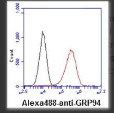 Flow Cytometry: gp96/HSP90B1/GRP94 Antibody (94B9) [NBP2-59391] - Analysis of GRP94 in U87MG cell line, staining at 2-5ug for 1x106cells (red line). The secondary antibody used goat anti-mouse IgG Alexa fluor 488 conjugate. Isotype control antibody was mouse IgG (black line).