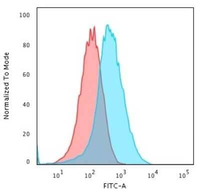 Flow Cytometry: gp96/HSP90B1/GRP94 Antibody (9G10.F8.2) [NBP2-44689] - Flow Cytometric Analysis of PFA-fixed HePG2 cells using gp96/HSP90B1/GRP94 Antibody (9G10.F8.2) followed by Goat anti-Rat- IgG-CF488 (Blue); Isotype Control (Red).