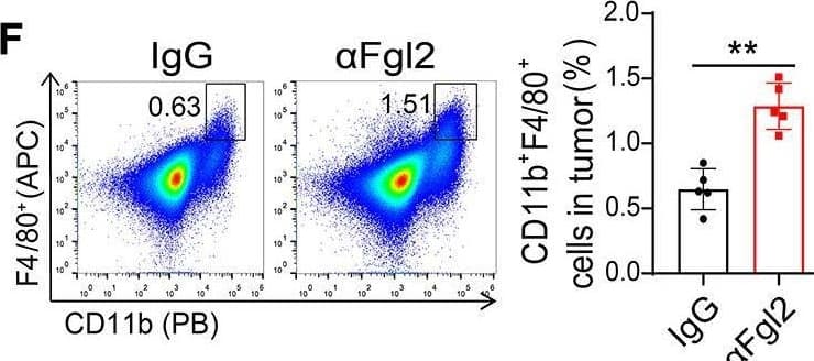 Flow Cytometry FGL2/Fibroleukin Antibody (6D9) - Azide and BSA Free