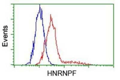 Flow Cytometry: hnRNP F Antibody (OTI5F5) - Azide and BSA Free [NBP2-70907] - Analysis of Hela cells, using anti-hnRNP F antibody, (Red), compared to a nonspecific negative control antibody (Blue).