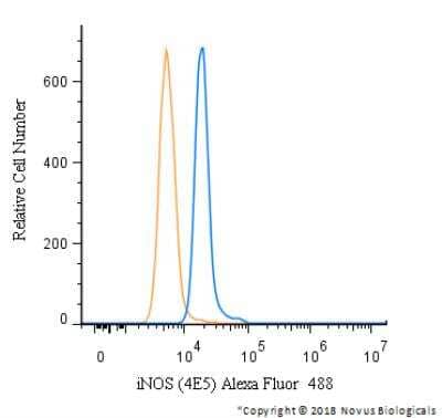 Flow Cytometry: iNOS Antibody (4E5) [Alexa Fluor® 488] [NBP2-22119AF488] - An intracellular stain was performed on A549 cells with iNOS Antibody (4E5) NBP2-22119AF488 (blue) and a matched isotype control (orange). Cells were fixed with 4% PFA and then permeabilized with 0.1% saponin. Cells were incubated in an antibody dilution of 10 ug/mL for 30 minutes at room temperature. Both antibodies were conjugated to Alexa Fluor 488.