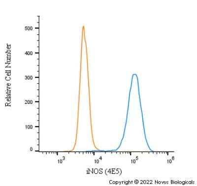 Flow Cytometry: iNOS Antibody (4E5) - BSA Free [NBP2-22119] - An intracellular stain was performed on NIH3T3 cells with iNOS Antibody (4E5) NBP2-22119 (blue) and a matched isotype control MAB002 (orange). Cells were fixed with 4% PFA and then permeabilized with 0.1% saponin. Cells were incubated in an antibody dilution of 1 ug/mL for 30 minutes at room temperature, followed by Mouse IgG (H+L) Cross-Adsorbed Secondary Antibody, Dylight 550 (84540, Thermo Fisher).