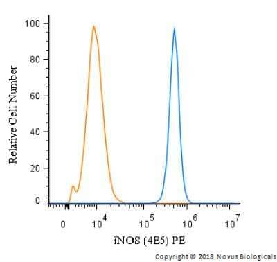 Flow Cytometry: iNOS Antibody (4E5) [PE] [NBP2-22119PE] - An intracellular stain was performed on A549 cells with iNOS Antibody (4E5) NBP2-22119PE (blue) and a matched isotype control (orange). Cells were fixed with 4% PFA and then permeabilized with 0.1% saponin. Cells were incubated in an antibody dilution of 2.5 ug/mL for 30 minutes at room temperature. Both antibodies were conjugated to phycoerythrin.