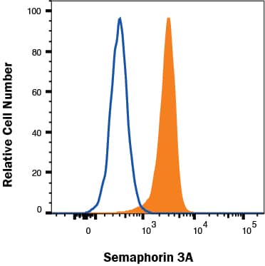U-118 MG cells were stained with Mouse Anti-Human/Mouse Semaphorin 3A PE‑conjugated Monoclonal Antibody (Catalog # IC1250P, filled histogram) or isotype control antibody (Catalog # IC0041P, open histogram). To facilitate intracellular staining, cells were fixed with Flow Cytometry Fixation Buffer (Catalog # FC004) and permeabilized with Flow Cytometry Permeabilization/Wash Buffer I (Catalog # FC005). View our protocol for Staining Intracellular Molecules.