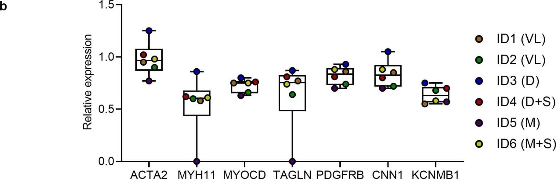 SMC marker expression after expansion in different media. (a) Histograms of flow cytometric surface marker expression (grey) of CD13, CD14, CD31, CD44, CD45, CD73, CD90, and CD140b on single live cells at passage three or four identified according to the gating strategy shown in Supplementary Fig. S2. Marker expression is given in comparison to the unstained control (white). (b) Gene expression level of SMC marker in isolated cells at passage one or two, normalized to the expression of the housekeeping gene RPL13A. Values of the individual donors are shown as points superimposed onto the boxplots. Expansion medium of each donor is given in brackets; D - DMEM, M - M199, S - supplements (FGF, EGF, insulin, ascorbic acid), VL - VascuLife. Image collected and cropped by CiteAb from the following open publication (//pubmed.ncbi.nlm.nih.gov/32249802), licensed under a CC-BY license. Not internally tested by R&D Systems.
