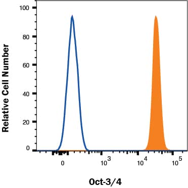 NTERA-2 cells were stained with Rat Anti-Human/Mouse Oct‑3/4 APC‑conjugated Monoclonal Antibody (Catalog # IC1759A, filled histogram) or isotype control antibody (Catalog # IC013A, open histogram). To facilitate intracellular staining, cells were fixed and permeabilized with FlowX FoxP3 Fixation & Permeabilization Buffer Kit (Catalog # FC012). View our protocol for Staining Intracellular Molecules.