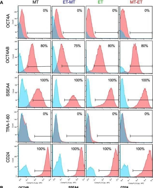 Immunophenotype of RS-hAFSCs cultured in in different conditions. (A) Flow cytometry to show the expression of OCT4-A, OCT4-B, SSEA4, Tra1-60, and CD24. Isotype control in blue. (B) Relative mean fluorescence intensity (MFI) for the different groups (measured from 10,000 cells and using the same antibody concentration, experimental conditions and cytometer settings for all groups). Data represent mean ± SEM. SEM: standard error of the mean. **P < 0.01. Image collected and cropped by CiteAb from the following open publication (//pubmed.ncbi.nlm.nih.gov/28747757), licensed under a CC-BY license. Not internally tested by R&D Systems.