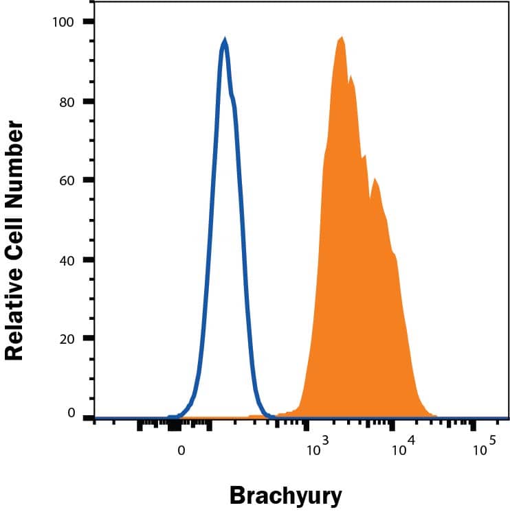 IPSC mesoderm differentiation cells treated with IPSC mesoderm differentiation (SC030B)  for 2 days were stained with Goat Anti-Human/Mouse Brachyury APC‑conjugated Antigen Affinity-purified Polyclonal Antibody (Catalog # IC2085A, filled histogram) or isotype control antibody (Catalog # IC108A, open histogram). To facilitate intracellular staining, cells were fixed with FC004 and permeabilized with FoxP3 Perm. View our protocol for Staining Intracellular Molecules.