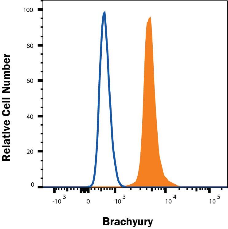 NCI-H460 cells were stained with Goat Anti-Human/Mouse Brachyury PE‑conjugated Antigen Affinity-purified Polyclonal Antibody (Catalog # IC2085P, filled histogram) or isotype control antibody (Catalog # IC108P, open histogram). To facilitate intracellular staining, cells were fixed and permeabilized with FlowX FoxP3 Fixation & Permeabilization Buffer Kit (Catalog # FC012). View our protocol for Staining Intracellular Molecules.