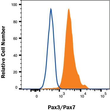 B16-F1 cells were stained with Mouse Anti-Human/Mouse Pax3/Pax7 APC‑conjugated Monoclonal Antibody (Catalog # IC2457A, filled histogram) or isotype control antibody (Catalog # IC003A, open histogram). To facilitate intracellular staining, cells were fixed with Flow Cytometry Fixation Buffer (Catalog # FC004) and permeabilized with Flow Cytometry Permeabilization/Wash Buffer I (Catalog # FC005). View our protocol for Staining Intracellular Molecules.