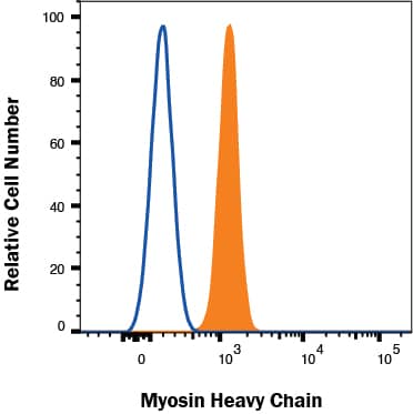 C2C12 cells were stained with Mouse Anti-Human Myosin Heavy Chain APC‑conjugated Monoclonal Antibody (Catalog # IC4470A, filled histogram) or isotype control antibody (Catalog # IC0041A, open histogram). To facilitate intracellular staining, cells were fixed with Flow Cytometry Fixation Buffer (Catalog # FC004) and permeabilized with Saponin. View our protocol for Staining Intracellular Molecules.