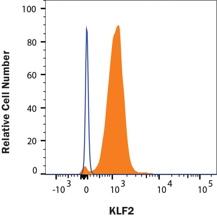human iPSCs were stained with Mouse Anti-Human KLF2 PE‑conjugated Monoclonal Antibody (Catalog # IC5466P, filled histogram) or isotype control antibody (Catalog # IC0041P, open histogram). To facilitate intracellular staining, cells were fixed with Flow Cytometry Fixation Buffer (Catalog # FC004) and permeabilized with Flow Cytometry Permeabilization/Wash Buffer I (Catalog # FC005). View our protocol for Staining Intracellular Molecules.