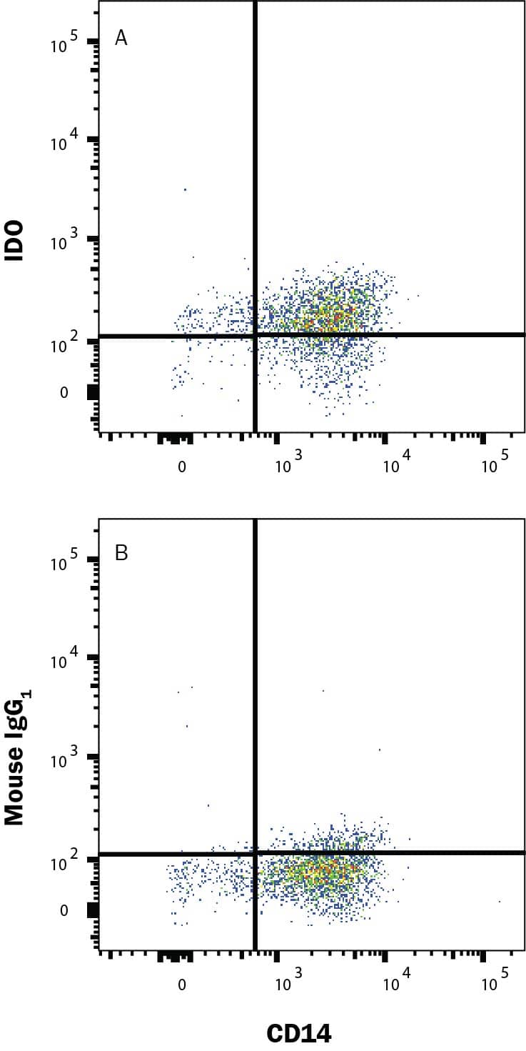 Human Monocytes were selected from PBMC using MagCellect Human CD14+ Cell Isolation Kit (MAGH105) and cultured overnight with Recombinant Human MCSF (50 ng/mL; 216-MC), Recombinant Human IFN gamma  (50 ng/mL; 285-IF) and 50 ng/mL LPS and stained with (A) Mouse Anti-Human Indoleamine 2,3-dioxygenase/IDO Alexa Fluor® 488-conjugated Monoclonal Antibody (Catalog # IC6030G) or (B) Mouse IgG1 isotype control antibody (IC002G) and Mouse Anti-Human CD14 PE-conjugated Monoclonal Antibody (FAB3832P). To facilitate intracellular staining, cells were fixed and permeabilized with FlowX FoxP3/Transcription Factor Fixation & Perm Kit (FC012). Staining was performed using our Staining Intracellular Molecules protocol. 