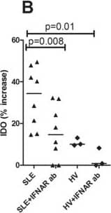 SLE sera increase IDO expression in a type I IFN-dependent manner.Endothelial cells (WISH cells) were incubated with A) recombinant IFN-alpha with or without pre-incubation with an IFN alpha/beta receptor blocking antibody (IFNAR ab) and IDO expression analyzed in permeabilized cells by flow cytometry. B) WISH cells were incubated with serum from SLE patients or healthy individuals with or without pre-incubation with an IFNAR ab. The results are presented as percentage increased IDO expression in median fluorescence intensity (MFI) as compared to non-stimulated cells. C) Patients with ongoing type I IFN activity (SLE IFN+) had increased IDO activity as compared to patients with no type I IFN activity (SLE IFN-) and healthy volunteers (HV). D) Patients with ongoing type I IFN activity had decreased serotonin levels as compared to patients with no type I IFN activity and healthy volunteers. Image collected and cropped by CiteAb from the following publication (//dx.plos.org/10.1371/journal.pone.0125109), licensed under a CC-BY license. Not internally tested by R&D Systems.