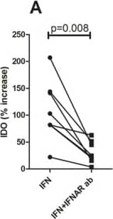 SLE sera increase IDO expression in a type I IFN-dependent manner.Endothelial cells (WISH cells) were incubated with A) recombinant IFN-alpha with or without pre-incubation with an IFN alpha/beta receptor blocking antibody (IFNAR ab) and IDO expression analyzed in permeabilized cells by flow cytometry. B) WISH cells were incubated with serum from SLE patients or healthy individuals with or without pre-incubation with an IFNAR ab. The results are presented as percentage increased IDO expression in median fluorescence intensity (MFI) as compared to non-stimulated cells. C) Patients with ongoing type I IFN activity (SLE IFN+) had increased IDO activity as compared to patients with no type I IFN activity (SLE IFN-) and healthy volunteers (HV). D) Patients with ongoing type I IFN activity had decreased serotonin levels as compared to patients with no type I IFN activity and healthy volunteers. Image collected and cropped by CiteAb from the following publication (//dx.plos.org/10.1371/journal.pone.0125109), licensed under a CC-BY license. Not internally tested by R&D Systems.
