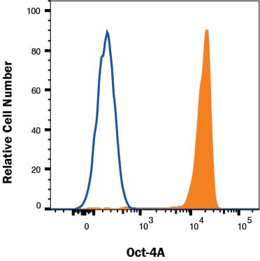 NTERA-2 cells were stained with Mouse Anti-Human Oct‑4A APC‑conjugated Monoclonal Antibody (Catalog # IC6344A, filled histogram) or isotype control antibody (Catalog # IC003A, open histogram). To facilitate intracellular staining, cells were fixed and permeabilized with FlowX FoxP3 Fixation & Permeabilization Buffer Kit (Catalog # FC012). View our protocol for Staining Intracellular Molecules.