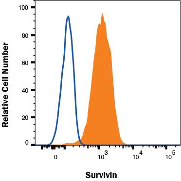 Jurkat cells were stained with Mouse Anti-Human Survivin PE‑conjugated Monoclonal Antibody (Catalog # IC6472P, filled histogram) or isotype control antibody (Catalog # IC002P, open histogram). To facilitate intracellular staining, cells were fixed with Flow Cytometry Fixation Buffer (Catalog # FC004) and permeabilized with Flow Cytometry Permeabilization/Wash Buffer I (Catalog # FC005). View our protocol for Staining Intracellular Molecules.