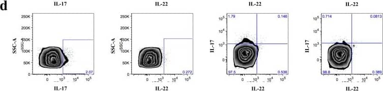 Frequency of IL-17 and/or IL-22 expressing mucosal CD4+T cells decreases by progression of Fiebig stage.To quantify the expression of Il-17 and IL-22 in CD4+T cells, mucosal and peripheral mononuclear cells were stimulated for 5 hours with 40 ng/mL PMA and 1 µM Ionomycin. Gating strategy of sigmoid colon Th17 and Th22 CD4+T cells is shown for a FI subject (a) and representative flow cytometry plots including unstimulated controls (unstim) gated on CD4+T cells showing expression of IL-17 and/or IL-22 in FI (b), FIII (c) and FV (d) in the sigmoid colon. A decrease in the frequency of IL-17 (e), IL-22 (f), IL-17/IL-22 (g)-producing cells was seen as well as in the subpopulation of triple-cytokine producing (IL-2, IL-22, IFN gamma ) Th17 cells (h) from FI (black circle)/FII (red circle) to FIII and FIV (red square)/FV (black square). Frequency of single and double cytokine producing cells is calculated from percentage CD4+T cells, while triple-cytokine producing cells are calculated from percentage of CD4+IL17+T cells. All comparisons were made to FI/II: *p≤0.05, **p≤0.01 and ***p≤0.001. Image collected and cropped by CiteAb from the following publication (//pubmed.ncbi.nlm.nih.gov/25503054), licensed under a CC-BY license. Not internally tested by R&D Systems.