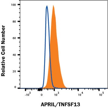 U937 human lymphoma cell line was stained with Goat Anti-Human APRIL/TNFSF13 PE-conjugated Antigen Affinity-purified Polyclonal Antibody (Catalog # IC884P, filled histogram) or control antibody staining (IC108P, open histogram). To facilitate intracellular staining, cells were fixed with Flow Cytometry Fixation Buffer (FC004) and permeabilized with Flow Cytometry Permeabilization/Wash Buffer I (FC005). View our protocol for Staining Intracellular Molecules.