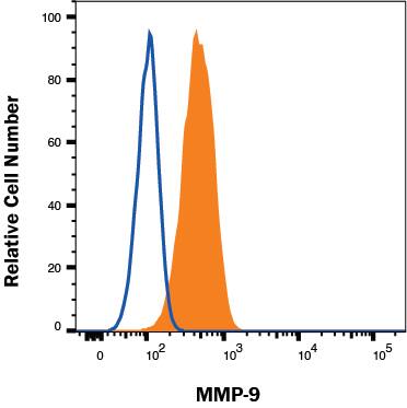 Serum starved U2OS cells treated with 100ng/mL PMA for 24 hrs (filled histogram) vs untreated U2OS cells (open histogram) were stained with Mouse Anti-Human MMP‑9 Fluorescein‑conjugated Monoclonal Antibody (Catalog # IC9111F). To facilitate intracellular staining, cells were fixed with Flow Cytometry Fixation Buffer (Catalog # FC004) and permeabilized with Flow Cytometry Permeabilization/Wash Buffer I (Catalog # FC005). View our protocol for Staining Intracellular Molecules.