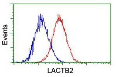 Flow Cytometry: lactamase, beta 2 Antibody (OTI2F9) - Azide and BSA Free [NBP2-71901] - Analysis of Hela cells, using anti-lactamase, beta 2 antibody, (Red), compared to a nonspecific negative control antibody (Blue).