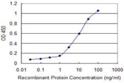 Sandwich ELISA: mGluR1 Antibody (1F7) [H00002911-M02] - Detection limit for recombinant GST tagged GRM1 is 0.1 ng/ml as a capture antibody.