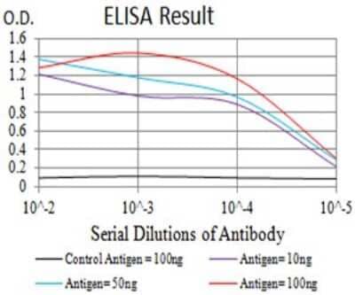 ELISA: mGluR2 Antibody (4A10B9) [NBP2-61833] - Black line: Control Antigen (100 ng);Purple line: Antigen (10ng); Blue line: Antigen (50 ng); Red line:Antigen (100 ng)