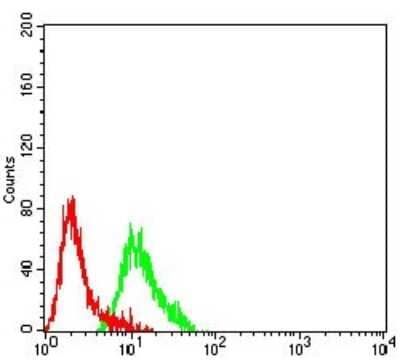 ELISA: mGluR2 Antibody (4A10B9) [NBP2-61833] - Analysis of SK-N-SH cells using GRM2 mouse mAb (green) and negative control (red).