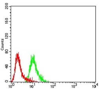 ELISA: mGluR2 Antibody (6E4F6) [NBP2-61834] - Analysis of SK-N-SH cells using GRM2 mouse mAb (green) and negative control (red).