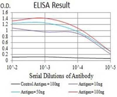 ELISA: mGluR3 Antibody (6H10C3) [NBP2-61842] - Black line: Control Antigen (100 ng);Purple line: Antigen (10ng); Blue line: Antigen (50 ng); Red line:Antigen (100 ng)