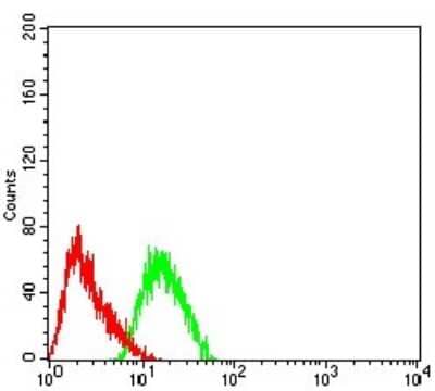 ELISA: mGluR3 Antibody (6H10C3) [NBP2-61842] - Analysis of SH-SY5Y cells using GRM3 mouse mAb (green) and negative control (red).