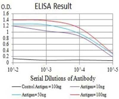 ELISA: mGluR3 Antibody (7A5A6) [NBP2-61843] - Black line: Control Antigen (100 ng);Purple line: Antigen (10ng); Blue line: Antigen (50 ng); Red line:Antigen (100 ng)