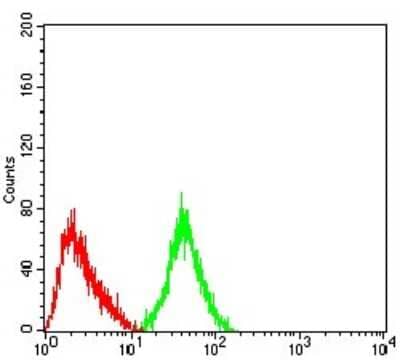 Flow Cytometry: mGluR3 Antibody (7A5A6) [NBP2-61843] - Analysis of SH-SY5Y cells using GRM3 mouse mAb (green) and negative control (red).