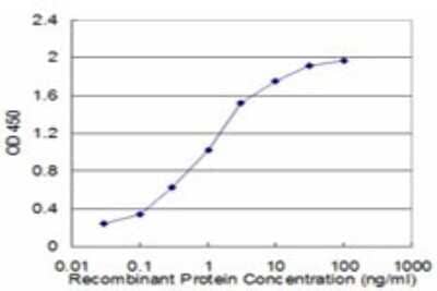Sandwich ELISA: mGluR5 Antibody (1B3) [H00002915-M01] - Detection limit for recombinant GST tagged GRM5 is approximately 0.03ng/ml as a capture antibody.