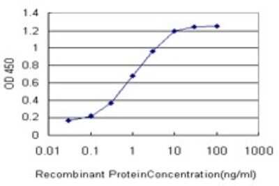 Sandwich ELISA: mGluR7 Antibody (1H5) [H00002917-M01] - Detection limit for recombinant GST tagged GRM7 is approximately 0.03ng/ml as a capture antibody.