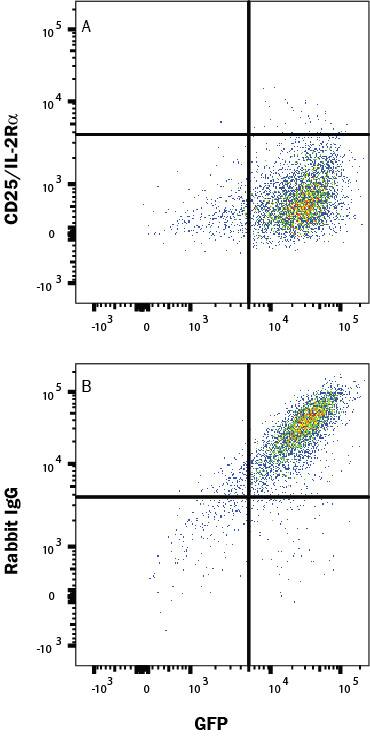 In a functional flow cytometry test, Recombinant Human IL-2 Biotinylated protein (BT202, 100 ng/mL) binds to HEK293 human embryonic kidney cell line transfected with recombinant human CD25/IL-2R alpha. (A) Binding is completely blocked by 2.5 µg/mL of Human Anti-Human CD25/IL-2R alpha Monoclonal Antibody (Catalog # MAB10203) but not by (B) Rabbit IgG Isotype Control (MAB1050) at the same concentration. Ligand binding was detected by staining cells with APC-conjugated Streptavidin (F0050).