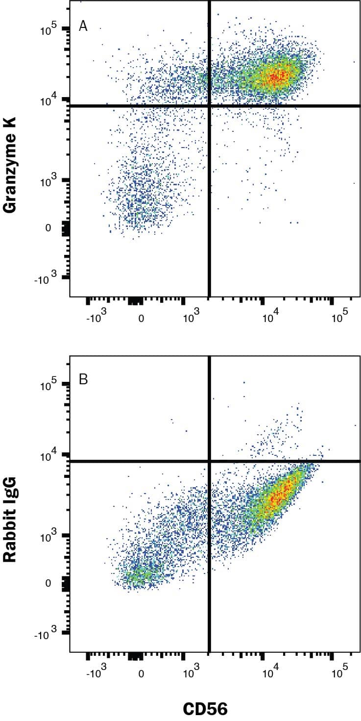 Flow Cytometry Granzyme K Antibody (2471A) [Unconjugated]