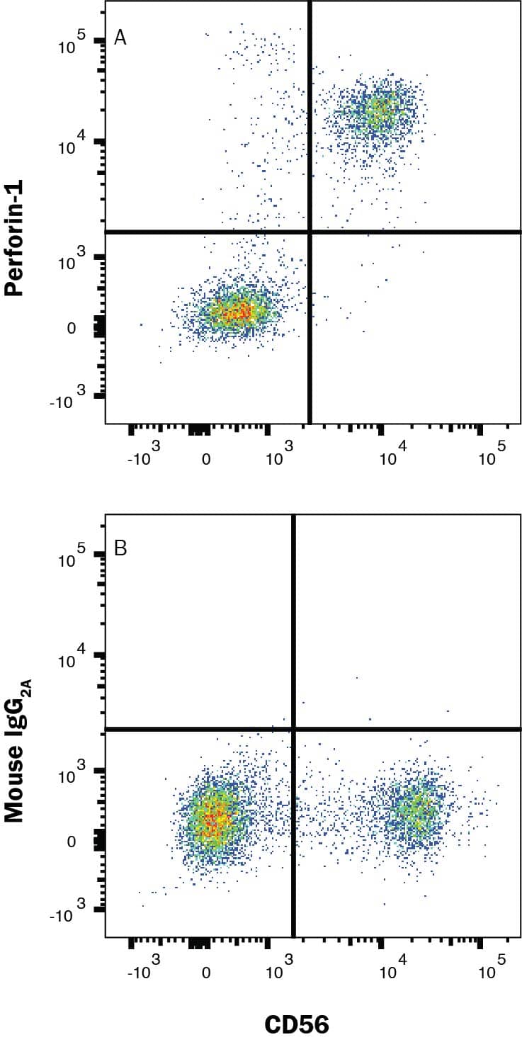 Human peripheral blood mononuclear cells (PBMCs) were stained with (A) Mouse Anti-Human Perforin Monoclonal Antibody (Catalog # MAB103853) or (B) isotype control antibody (MAB002) followed by Anti-Mouse IgG Allophycocyanin-conjugated Secondary Antibody (F0101B) and Mouse anti-Human CD56 Phycoerythrin-conjugated Monoclonal Antibody (FAB24086P). To facilitate intracellular staining, cells were fixed and permeabilized with FlowX FoxP3 Fixation & Permeabilization Buffer Kit (FC012). Staining was performed using our Staining Intracellular Molecules protocol.