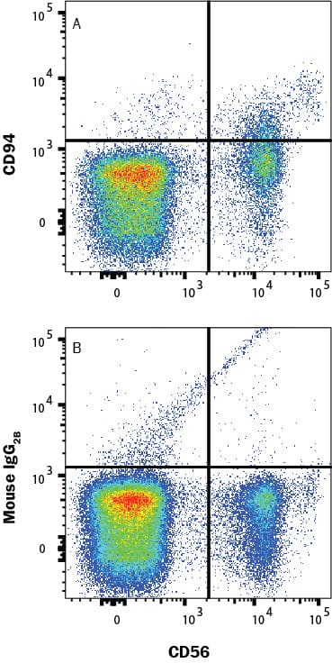 Human peripheral blood lymphocytes were stained with (A) Mouse Anti-Human CD94 Monoclonal Antibody (Catalog # MAB10581) or (B) Mouse IgG2B isotype control antibody (MAB0041) followed by anti-Mouse IgG Allophycocyanin-conjugated secondary antibody (F0101B) and Mouse Anti-Human CD56 Phycoerythrin-conjugated Monoclonal Antibody (FAB24086P). Staining was performed using our Staining Membrane-associated Proteins protocol.