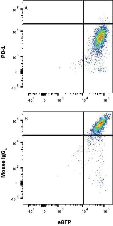 In a functional flow cytometry test, biotinylated recombinant human B7-H1 (10 ng/mL, BT156) binds to HEK293 human embryonic kidney cell line transfected with human PD-1 and eGFP. (A) Binding is completely blocked by 2.5 µg/mL of Mouse Anti-Human PD-1 Monoclonal Antibody (Catalog # MAB10861) but not by (B) 2.5 µg/mL of Mouse IgG1 Isotype Control (MAB002). Protein binding was detected by staining cells with Streptavidin-APC (F0050). 