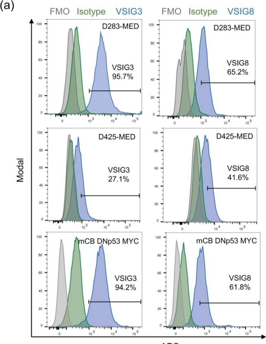 Human and mouse MB tumor cells exhibit in vitro expression of VISTA binding partners and are translationally relevant. (a) Cells gated on live singlets, then further gated based on GFP expression. Histograms (blue) representing in vitro expression of VSIG8 and VSIG3 in human MB cell lines (D283-MED and D425-MED) and our GFP+ mouse medulloblastoma cell line (mCB DNp53 MYC). Fluorescence minus one control represented in gray, and isotype control represented in green. (b) Western blot analysis confirming expression of VSIG3 and VSIG8 and relative absence of VISTA from human and mouse medulloblastoma tumor cell lines (n = 3). Uncropped blots are shown in File S2. (c) Transcriptome analysis of 52 human MB patient samples. X-axis represents quartile distribution of VISTA expression levels: Q1 (lowest 25%), Q2 (next 25%), Q3 (third 25%), and Q4 (highest 25%). Y-axis represents log2 [TPM+1]. Bar graphs representing VISTA transcript (C10orf54) expression correlation with VSIG3, VSIG8, and PSGL1 and LRIG1. Error bars represent standard error of the mean (SEM), and p-values were calculated using a Mann–Whitney test and corrected for multiple comparisons. The asterisks indicate adjusted p-values as follows: * padj < 0.05, ** padj < 0.01. Image collected and cropped by CiteAb from the following open publication (//pubmed.ncbi.nlm.nih.gov/39123357), licensed under a CC-BY license. Not internally tested by R&D Systems.