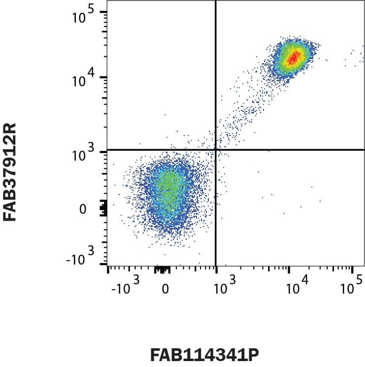 Human peripheral blood lymphocytes were stained with Mouse Anti-Human CD4 Monoclonal Antibody (Catalog # MAB114341) which was PE-conjugated (FAB114341P), and Mouse Anti-Human CD4 Alexa Fluor® 647‑conjugated Monoclonal Antibody (FAB37912R). This demonstrates non-competing epitopes of the two clones, which allows for purity analysis after CD4+ selection. View our protocol for Staining Membrane-associated Proteins. 