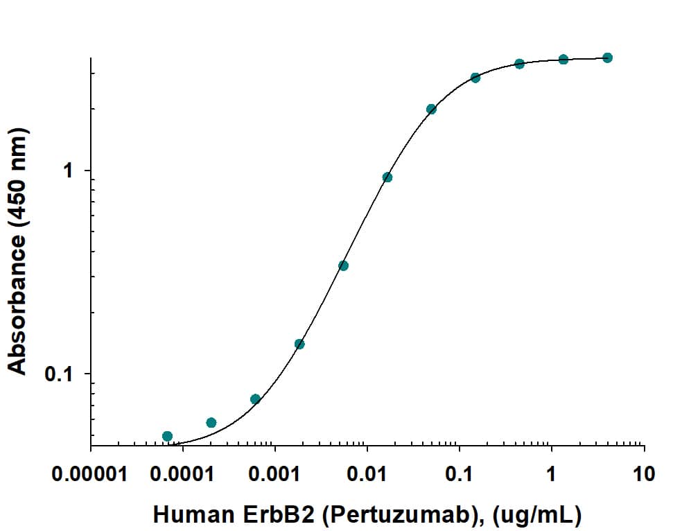 Direct ELISA binding curve demonstrating the recognition of Human Anti-Human ErbB2/Her2 (Research Grade Pertuzumab Biosimilar) Monoclonal Antibody (Catalog # MAB11491) to ErbB2/Her2. The target protein was coated onto the microplate well surface, followed by binding of the antibody. A goat anti-human HRP conjugate was used for detection.
