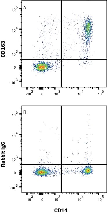 CD14+ PBMC were stained with either (A) Rabbit Anti-Human CD163 Monoclonal Antibody (Catalog # MAB11579) or (B) isotype control antibody (Catalog # AB-105-C) followed by Phycoerythrin-conjugated Anti-Rabbit IgG Secondary Antibody (Catalog # F0110). View our protocol for Staining Membrane-associated Proteins. 